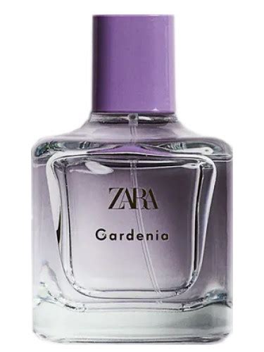 gardenia zara|Gardenia Zara perfume